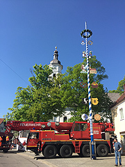 neuer Maibaum 2016 in München Sendling (Foto: Martin Schmitz)